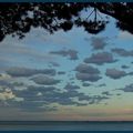 Cumulus Humilis