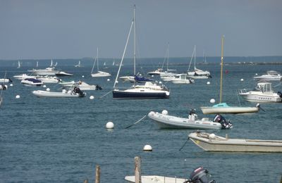 Quelques bateaux amarés