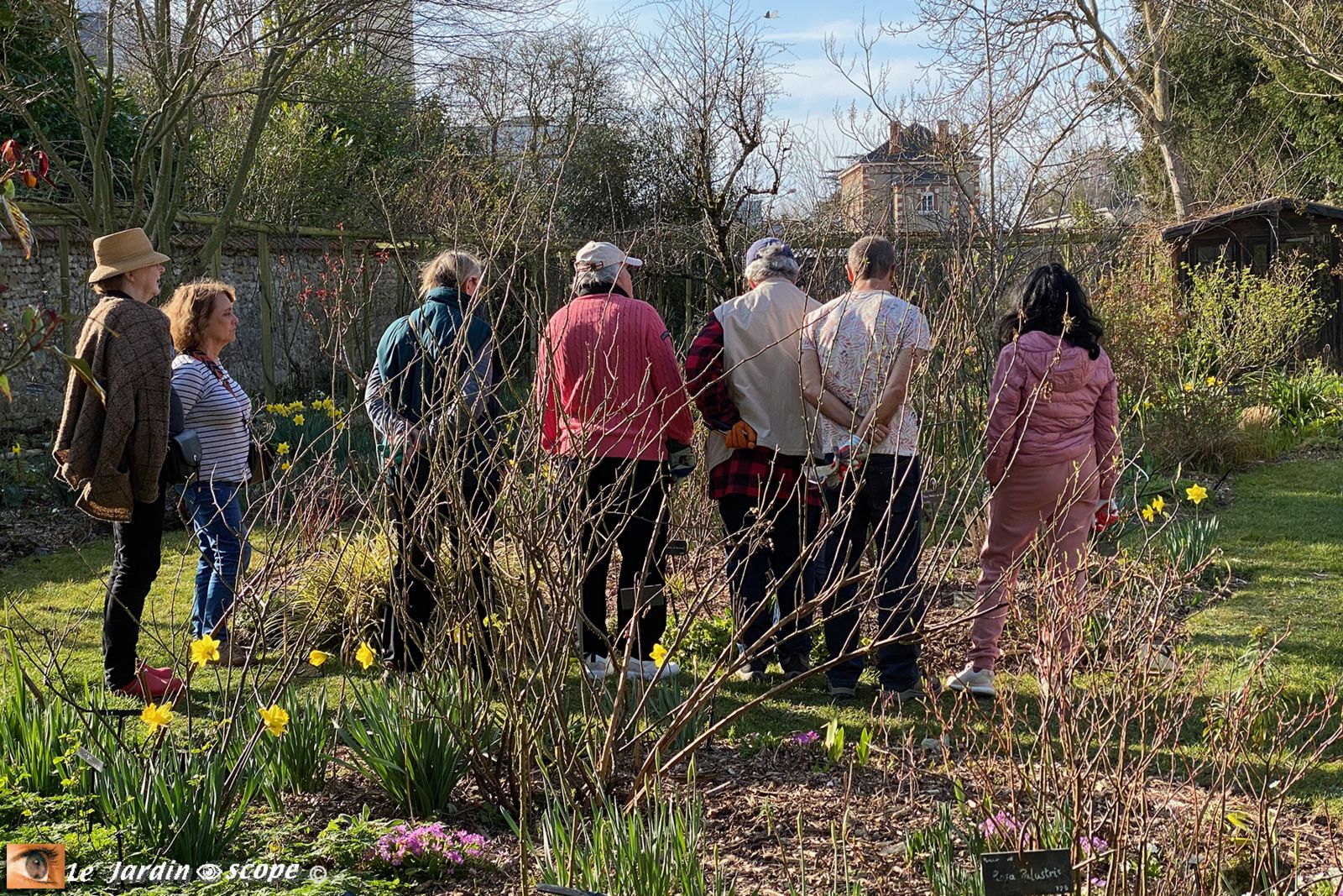 Cours de taille des rosiers dans le Jardin Personnel d'André Eve à Pithiviers