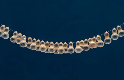 Crystal Gourd Beads, Liao -Jin dynasty, 12th Century