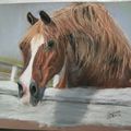 chevaux au pastel 