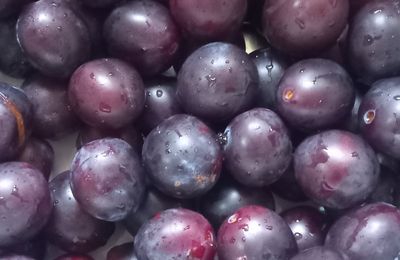 Fruits rouges... noirs