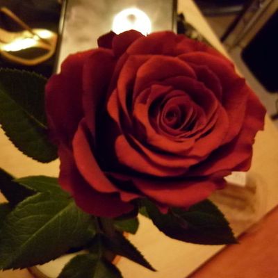 fêtons les z'amoureux