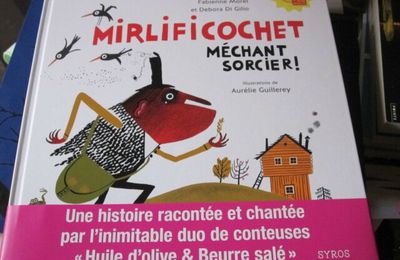 Mirlificochet méchant sorcier ! de Fabienne Morel & Debora Di Gilio