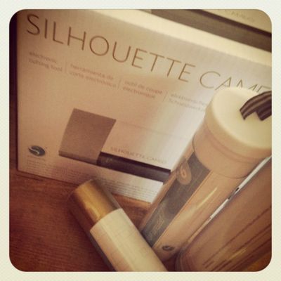 # Nouveau jouet à la maison. #