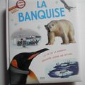 La banquise