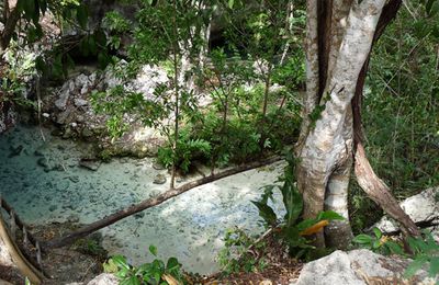 MEXICO, YUCATAN