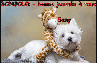 Prenez un instant pour lire ces citations et regarder quelques belles images de nos amis canins !
