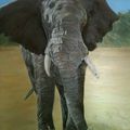Les éléphants aussi ont droit à leur portrait. Huile sur toile