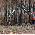 Incendies en Gironde