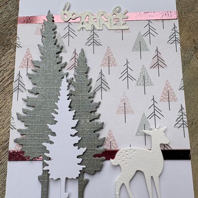 CHOIX MULTIPLE DECEMBRE 