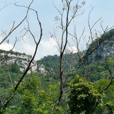 De Cernon à Thoirette