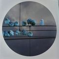 pigeons