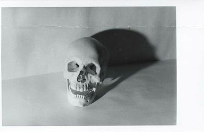 Andy Warhol (1928-1987), Skull