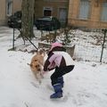 Neige sur Carcassonne