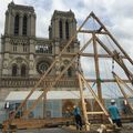 L'humeur de Barreau: Bretons et Angevins se font la courte -échelle dans les nouvelles charpentes normandes de Notre-Dame