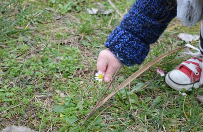 Des fleurs pour Mamie