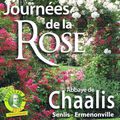 Journées de la rose