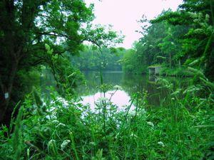 LE SENTIER DES DOUANIERS