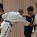 Echange Karate do / kendo