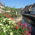 WISSEMBOURG (67) - Le Schlupf, petite Venise de Wissembourg et le quartier du Bruch