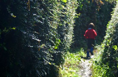 Childhood, or wonderland.