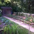 depuis quelques jours le soleil aide le potager !