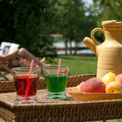 Découvrez "Le fangas"situé dans le Tarn, entre Albi et Toulouse