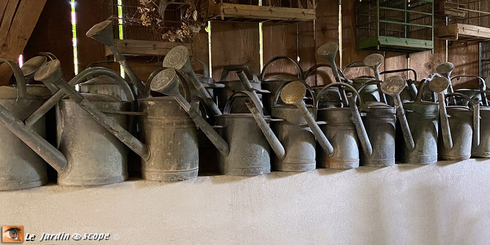 Collection d'arrosoirs