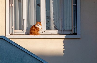 Pompe à chaleur ...