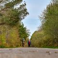 Promenade en forêt malgré la canicule: les conseils d'un journaliste de Paris-Normandie cherchant son ex en Basse-Normandie