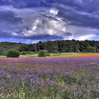 Tempête de couleurs