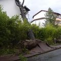 Tempête ou cyclone en Aquitaine ?