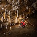 Des Pyrénéens aux Vents d'Anges