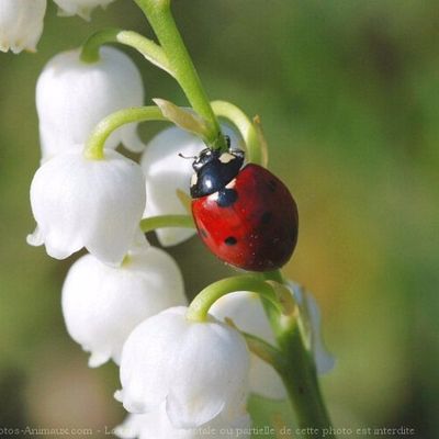 Mon outil magique 😊