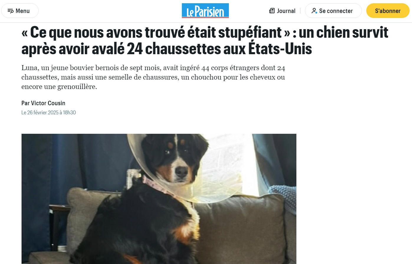 Siensien chaussette