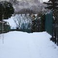 Chemins de balade * Paths of walk