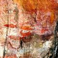 14 novembre 2013 : Kakadu National Park - Peintures rupestres aborigènes d'Ubirr (suite)