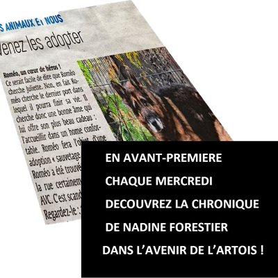 Chronique du 22 novembre 2023 - Timal