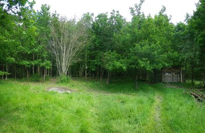 La deuxième cabane, en fuste celle là...