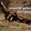 Leonardo, le vautour bio-nettoyeur - 2011