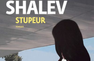 A lire pour cet été 2024- Stupeur de Zeruya Shalev