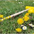 Une partie de croquet fleurie