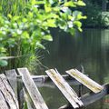 Balade Nature dans la vallée de Chevreuse