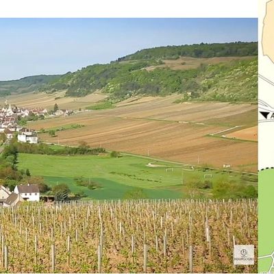 Soirées Saint-Aubin/Beaune/Savigny