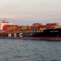 MSC, luxe et misère — Communiqué de l'association Robin des Bois