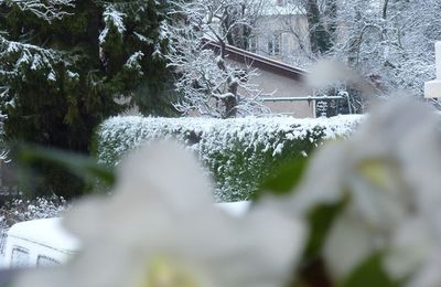 BLANC ........ comme la ...... NEIGE