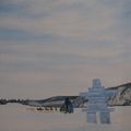 Yukon Quest 