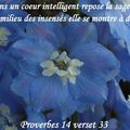 Proverbes 14 verset 33