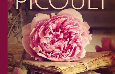 Pardonne-Lui - Jodi Picoult - Michel Lafon
